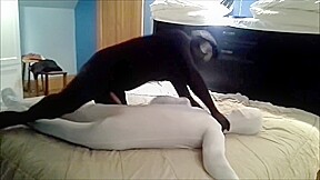 Black zentai vs White zentai