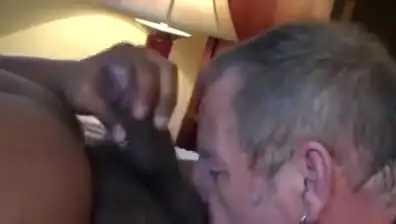 Step daddy bear eats black bear cum