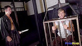 Shocum 2- Freedom Cums