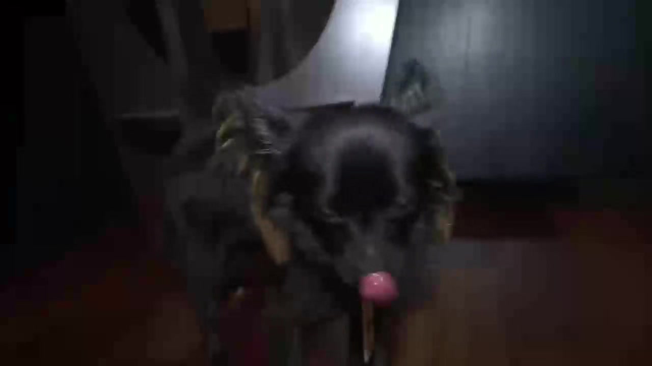 Christian Max and Jessie Threeway